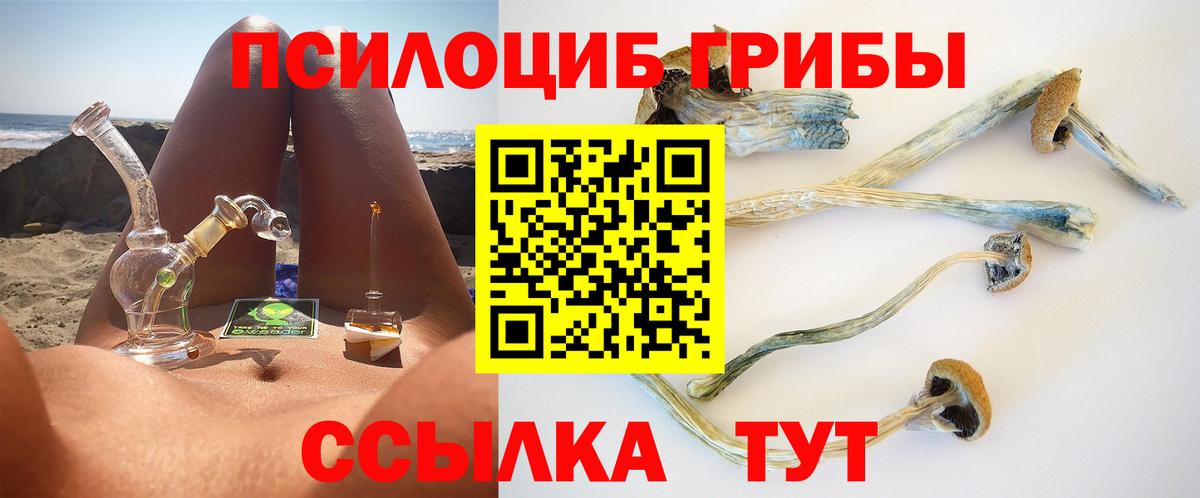 Псилоцибиновые грибы Psilocybe  Вход с VPN  Новошахтинск 